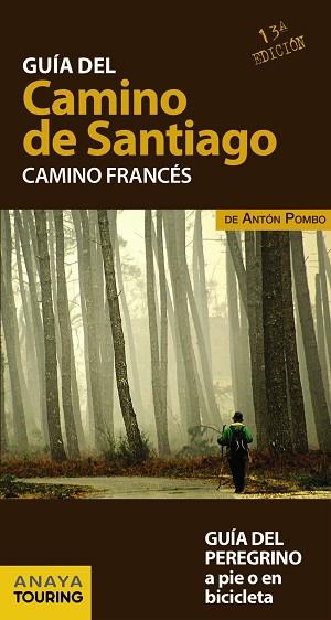 GUÍA DEL CAMINO DE SANTIAGO. CAMINO FRANCÉS | 9788499358420 | POMBO RODRÍGUEZ, ANTÓN | Llibres Parcir | Llibreria Parcir | Llibreria online de Manresa | Comprar llibres en català i castellà online