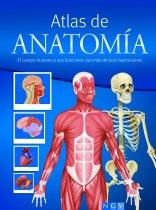 ATLAS ANATOMIA cuerpo humano sus funciones 600 ilustracione | 9783625126546 | AAVV | Llibres Parcir | Librería Parcir | Librería online de Manresa | Comprar libros en catalán y castellano online