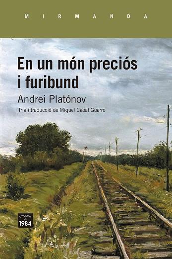 EN UN MÓN PRECIÓS I FURIBUND | 9788418858857 | PLATÓNOV, ANDREI | Llibres Parcir | Librería Parcir | Librería online de Manresa | Comprar libros en catalán y castellano online