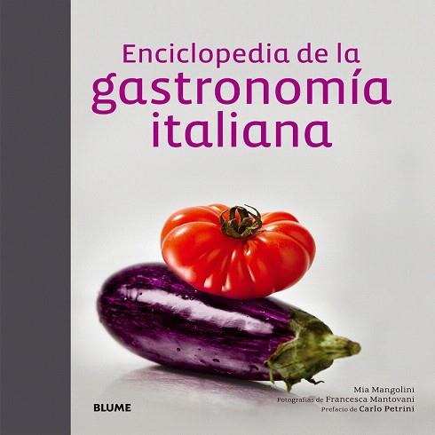 ENCICLOPEDIA DE LA GASTRONOMÍA ITALIANA | 9788416138098 | MANGOLINI, MIA | Llibres Parcir | Llibreria Parcir | Llibreria online de Manresa | Comprar llibres en català i castellà online