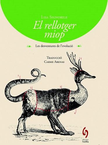 EL RELLOTGER MIOP | 9788494256424 | SIGNORILE, LISA | Llibres Parcir | Llibreria Parcir | Llibreria online de Manresa | Comprar llibres en català i castellà online