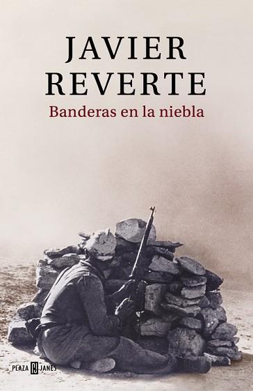 BANDERAS EN LA NIEBLA | 9788401019432 | JAVIER REVERTE | Llibres Parcir | Llibreria Parcir | Llibreria online de Manresa | Comprar llibres en català i castellà online