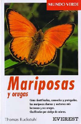 MARIPOSAS Y ORUGAS | 9788424127572 | RUCKSTUHL | Llibres Parcir | Llibreria Parcir | Llibreria online de Manresa | Comprar llibres en català i castellà online
