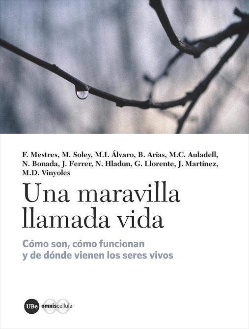 UNA MARAVILLA LLAMADA VIDA | 9788491680857 | VV AA | Llibres Parcir | Librería Parcir | Librería online de Manresa | Comprar libros en catalán y castellano online
