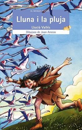 LLUNA I LA PLUJA | 9788476609644 | VALLES | Llibres Parcir | Librería Parcir | Librería online de Manresa | Comprar libros en catalán y castellano online