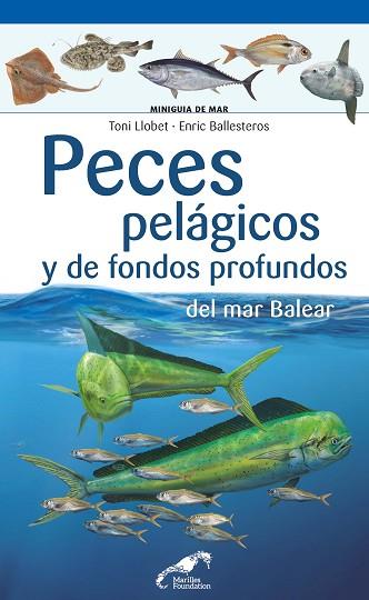 PECES PELÁGICOS Y DE FONDOS PROFUNDOS DEL MAR BALEAR | 9788490349571 | LLOBET FRANÇOIS, TONI / BALLESTEROS SAGARRA, ENRIC | Llibres Parcir | Librería Parcir | Librería online de Manresa | Comprar libros en catalán y castellano online