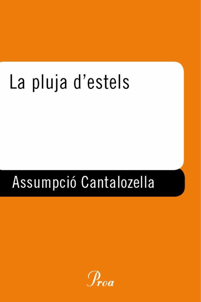 PLUJA D'ESTELS | 9788484372967 | CANTALOZELLA ASSUMPCIO | Llibres Parcir | Librería Parcir | Librería online de Manresa | Comprar libros en catalán y castellano online