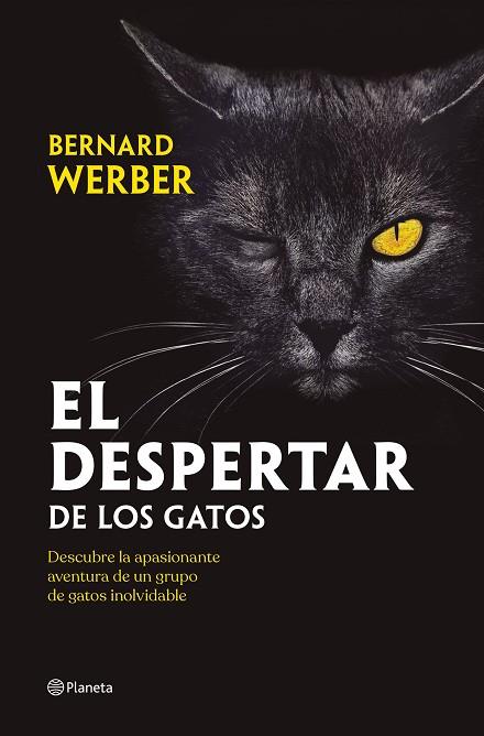 EL DESPERTAR DE LOS GATOS | 9788408251835 | WERBER, BERNARD | Llibres Parcir | Librería Parcir | Librería online de Manresa | Comprar libros en catalán y castellano online