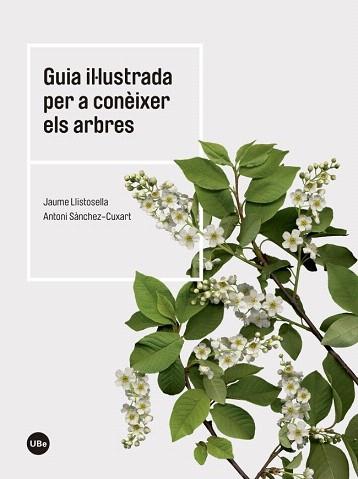 GUIA IL·LUSTRADA PER A CONÈIXER ELS ARBRES | 9788447542444 | LLISTOSELLA VIDAL, JAUME/SÀNCHEZ CUXART, ANTONI | Llibres Parcir | Llibreria Parcir | Llibreria online de Manresa | Comprar llibres en català i castellà online