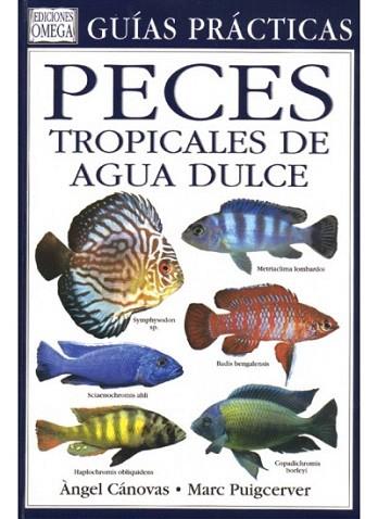 GUIAS PRACTICAS PECES TROPICALES DE AGUA DULCE | 9788428212076 | CANOVAS | Llibres Parcir | Llibreria Parcir | Llibreria online de Manresa | Comprar llibres en català i castellà online