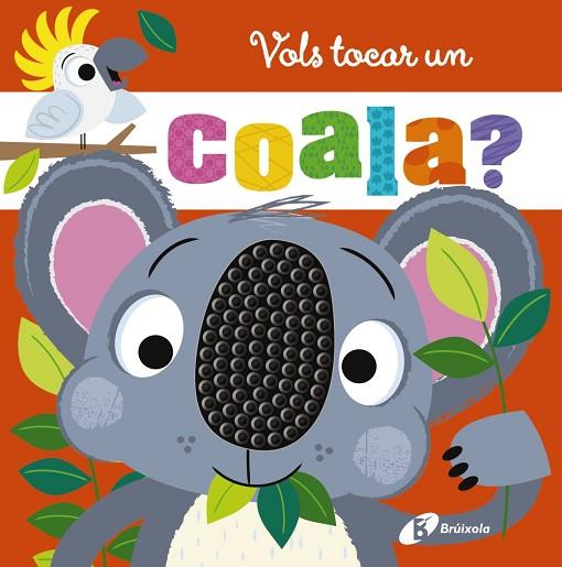 VOLS TOCAR UN COALA? | 9788413494333 | GREENING, ROSIE | Llibres Parcir | Librería Parcir | Librería online de Manresa | Comprar libros en catalán y castellano online