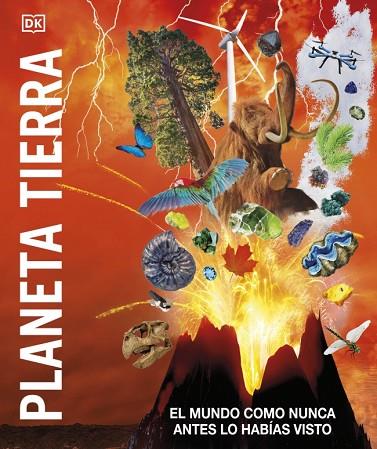 PLANETA TIERRA (MUNDO 3D) | 9780241582817 | DK | Llibres Parcir | Librería Parcir | Librería online de Manresa | Comprar libros en catalán y castellano online