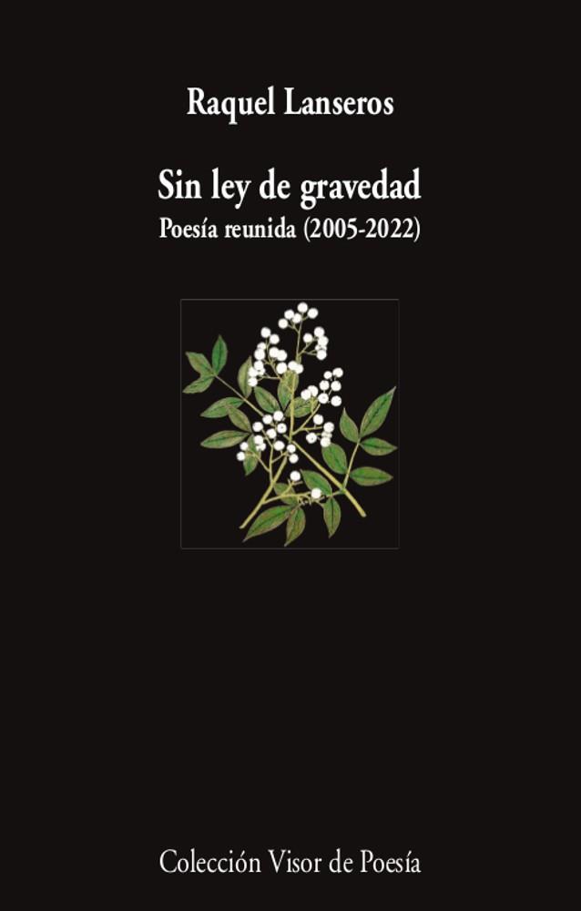 SIN LEY DE GRAVEDAD | 9788498954654 | LANSEROS, RAQUEL | Llibres Parcir | Llibreria Parcir | Llibreria online de Manresa | Comprar llibres en català i castellà online