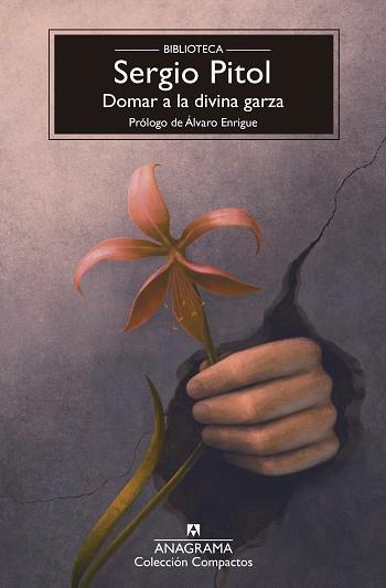 DOMAR A LA DIVINA GARZA | 9788433950987 | PITOL, SERGIO | Llibres Parcir | Llibreria Parcir | Llibreria online de Manresa | Comprar llibres en català i castellà online