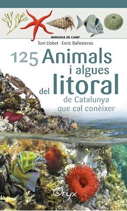 125 ANIMALS I ALGUES DEL LITORAL DE CATALUNYA | 9788490347416 | BALLESTEROS SAGARRA, ENRIC | Llibres Parcir | Librería Parcir | Librería online de Manresa | Comprar libros en catalán y castellano online