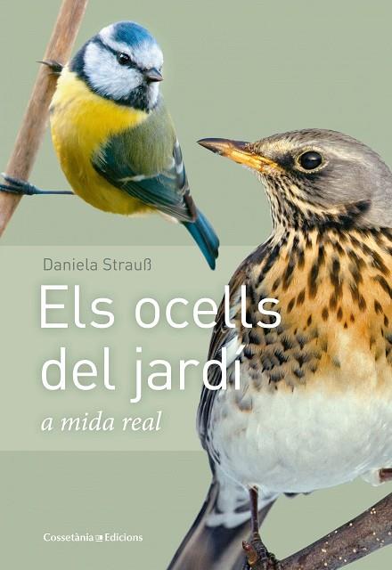 ELS OCELLS DEL JARDÍ | 9788490347461 | STRAUß, DANIELA | Llibres Parcir | Librería Parcir | Librería online de Manresa | Comprar libros en catalán y castellano online