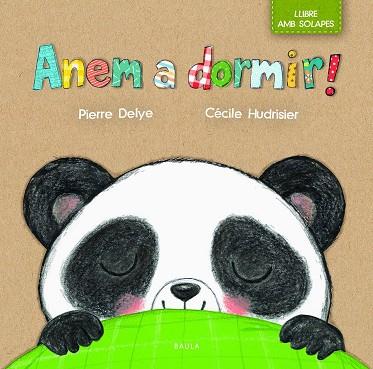ANEM A DORMIR! | 9788447942268 | DELYE, PIERRE | Llibres Parcir | Librería Parcir | Librería online de Manresa | Comprar libros en catalán y castellano online