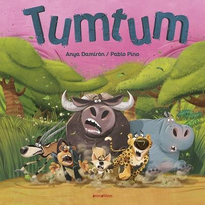 TUMTUM | 9788416844999 | ANYA DAMIRÓN | Llibres Parcir | Librería Parcir | Librería online de Manresa | Comprar libros en catalán y castellano online