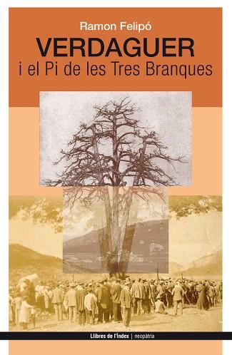 VERDAGUER I EL PI DE LES TRES BRANQUES | 9788494288920 | FELIPÓ ORIOL, RAMON | Llibres Parcir | Llibreria Parcir | Llibreria online de Manresa | Comprar llibres en català i castellà online