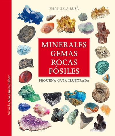 MINERALES, GEMAS, ROCAS Y FÓSILES | 9788419419866 | BUSÀ, EMANUELA | Llibres Parcir | Librería Parcir | Librería online de Manresa | Comprar libros en catalán y castellano online