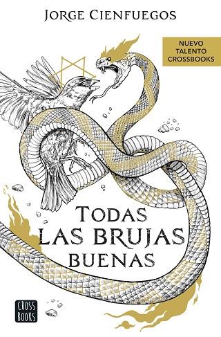 TODAS LAS BRUJAS BUENAS | 9788408260066 | CIENFUEGOS, JORGE | Llibres Parcir | Llibreria Parcir | Llibreria online de Manresa | Comprar llibres en català i castellà online