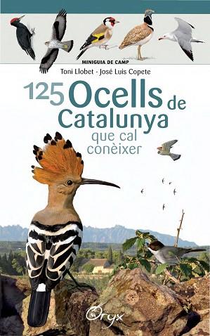 125 OCELLS DE CATALUNYA | 9788490346747 | LLOBET FRANçOIS, TONI/COPETE, JOSé LUIS | Llibres Parcir | Librería Parcir | Librería online de Manresa | Comprar libros en catalán y castellano online