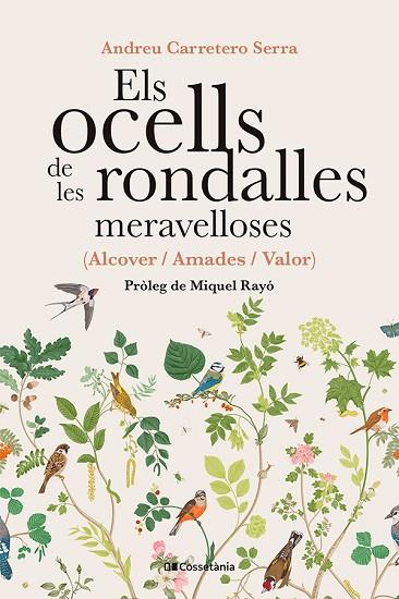 ELS OCELLS DE LES RONDALLES MERAVELLOSES | 9788413565415 | CARRETERO SERRA, ANDREU | Llibres Parcir | Llibreria Parcir | Llibreria online de Manresa | Comprar llibres en català i castellà online