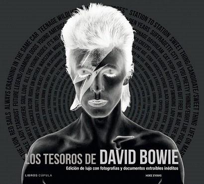 LOS TESOROS DE DAVID BOWIE | 9788448008918 | MIKE EVANS | Llibres Parcir | Llibreria Parcir | Llibreria online de Manresa | Comprar llibres en català i castellà online