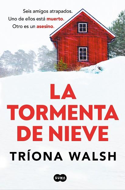 TORMENTA DE NIEVE | 9788491299028 | WALSH, TRÍONA | Llibres Parcir | Llibreria Parcir | Llibreria online de Manresa | Comprar llibres en català i castellà online