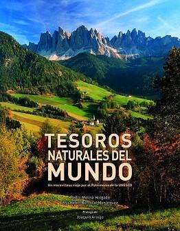 TESOROS NATURALES DEL MUNDO | 9788416177264 | PEDRO MOLINA HOLGADO/ANA BELÉN BERROCAL MENÁRGUEZ | Llibres Parcir | Librería Parcir | Librería online de Manresa | Comprar libros en catalán y castellano online