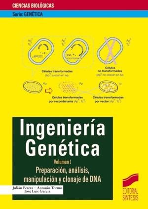 Ingeniería genética. Vol. I | 9788477389644 | Perera, J./ Tormo, A./ García, J.L. | Llibres Parcir | Librería Parcir | Librería online de Manresa | Comprar libros en catalán y castellano online