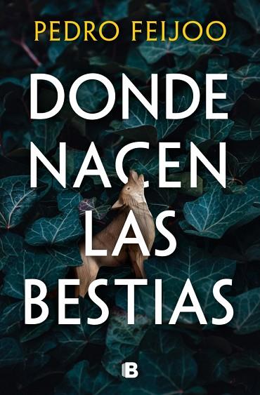 DONDE NACEN LAS BESTIAS | 9788466682152 | FEIJOO, PEDRO | Llibres Parcir | Llibreria Parcir | Llibreria online de Manresa | Comprar llibres en català i castellà online