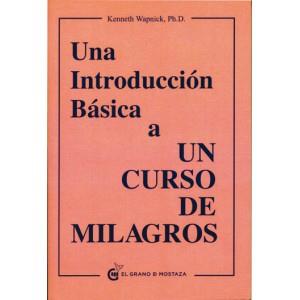 UNA INTRODUCCION BASICA A UN CURSO DE MILAGROS | 9788493727420 | KENNETH WAPNICK | Llibres Parcir | Librería Parcir | Librería online de Manresa | Comprar libros en catalán y castellano online