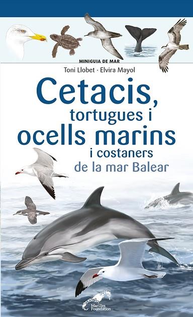 CETACIS, TORTUGUES I OCELLS MARINS I COSTANERS DE LA MAR BALEAR | 9788413562735 | MAYOL, ELVIRA | Llibres Parcir | Librería Parcir | Librería online de Manresa | Comprar libros en catalán y castellano online