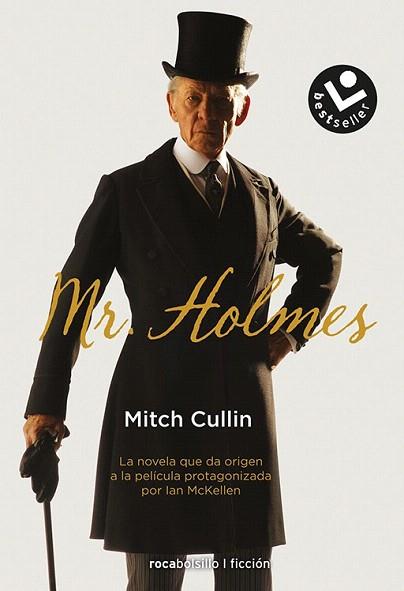 MR. HOLMES | 9788416240258 | CULLIN, MITCH | Llibres Parcir | Librería Parcir | Librería online de Manresa | Comprar libros en catalán y castellano online