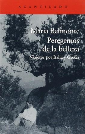 PEREGRINOS DE LA BELLEZA | 9788416011513 | BELMONTE BARRENECHEA, MARÍA | Llibres Parcir | Llibreria Parcir | Llibreria online de Manresa | Comprar llibres en català i castellà online