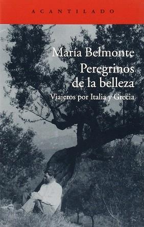 PEREGRINOS DE LA BELLEZA | 9788416011513 | BELMONTE BARRENECHEA, MARÍA | Llibres Parcir | Librería Parcir | Librería online de Manresa | Comprar libros en catalán y castellano online