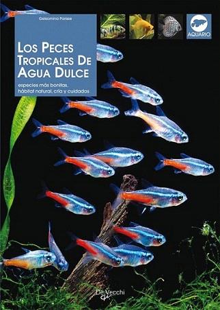 LOS PECES TROPICALES DE AGUA DULCE | 9788431527990 | PARISSE | Llibres Parcir | Llibreria Parcir | Llibreria online de Manresa | Comprar llibres en català i castellà online