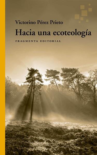 HACIA UNA ECOTEOLOGÍA | 9788417796815 | PÉREZ PRIETO, VICTORINO | Llibres Parcir | Librería Parcir | Librería online de Manresa | Comprar libros en catalán y castellano online