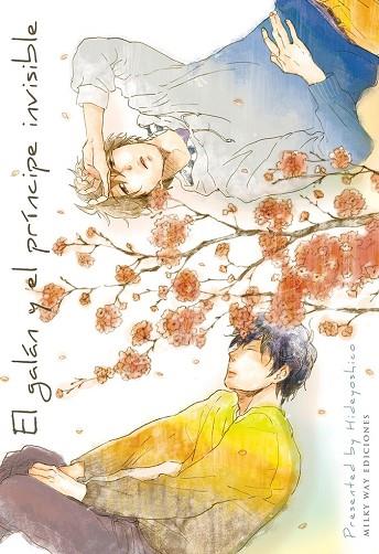 EL GALÁN Y EL PRÍNCIPE INVISIBLE | 9788418788604 | .,HIDEYOSHICO | Llibres Parcir | Librería Parcir | Librería online de Manresa | Comprar libros en catalán y castellano online