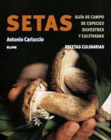 SETAS G DE CAMPO DE ESPECIES SILVESTRES Y CULTIVADAS | 9788480765251 | CARLUCCIO | Llibres Parcir | Llibreria Parcir | Llibreria online de Manresa | Comprar llibres en català i castellà online