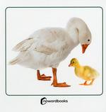 ANIMALES DOMESTICOS Y SUS CRIAS | 9788412683622 | NOWORDBOOKS | Llibres Parcir | Librería Parcir | Librería online de Manresa | Comprar libros en catalán y castellano online