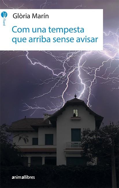 COM UNA TEMPESTA QUE ARRIBA SENSE AVISAR | 9788416844746 | GLÒRIA MARÍN I MORO | Llibres Parcir | Librería Parcir | Librería online de Manresa | Comprar libros en catalán y castellano online