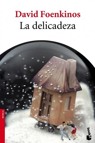 LA DELICADEZA | 9788432215896 | DAVID FOENKINOS | Llibres Parcir | Llibreria Parcir | Llibreria online de Manresa | Comprar llibres en català i castellà online