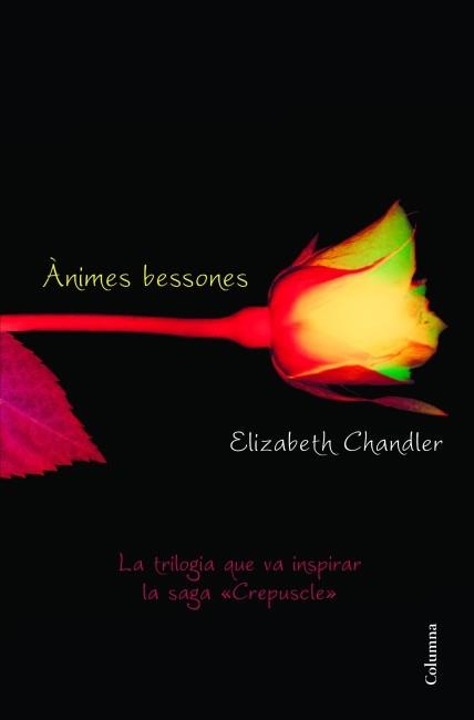 Ànimes bessones | 9788466415101 | Elizabeth Chandler | Llibres Parcir | Llibreria Parcir | Llibreria online de Manresa | Comprar llibres en català i castellà online