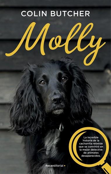 MOLLY | 9788417541033 | BUTCHER, COLIN | Llibres Parcir | Llibreria Parcir | Llibreria online de Manresa | Comprar llibres en català i castellà online