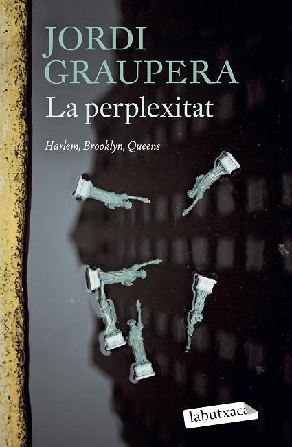 LA PERPLEXITAT | 9788419971074 | GRAUPERA, JORDI | Llibres Parcir | Librería Parcir | Librería online de Manresa | Comprar libros en catalán y castellano online