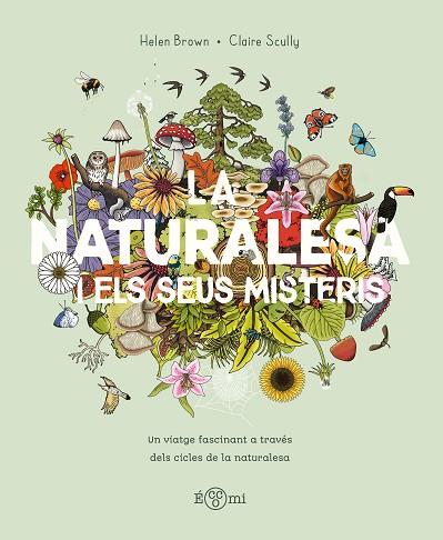 LA NATURALESA I ELS SEUS MISTERIS | 9788419262875 | BROWN, HELLEN | Llibres Parcir | Librería Parcir | Librería online de Manresa | Comprar libros en catalán y castellano online