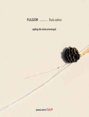 FULGOR | 9788481289862 | CALVO, LLUÍS | Llibres Parcir | Librería Parcir | Librería online de Manresa | Comprar libros en catalán y castellano online