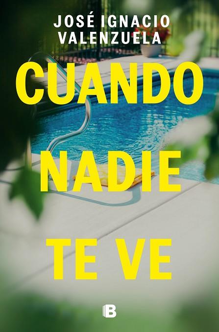 CUANDO NADIE TE VE | 9788466675192 | VALENZUELA, JOSÉ IGNACIO | Llibres Parcir | Librería Parcir | Librería online de Manresa | Comprar libros en catalán y castellano online